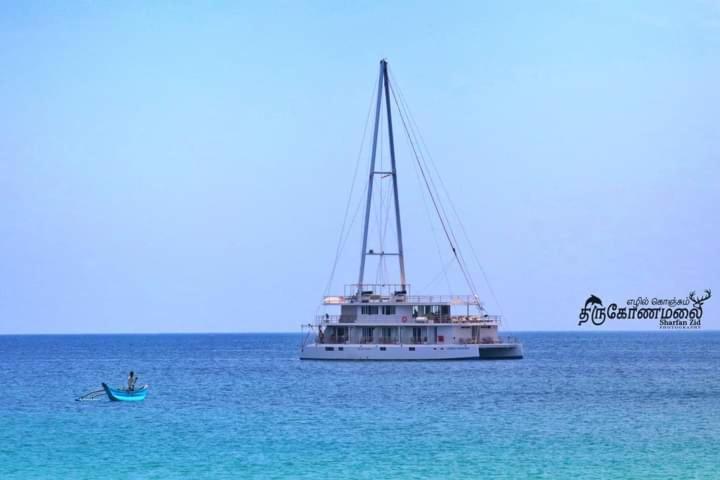 Uppuveli Beach House トリンコマリー エクステリア 写真